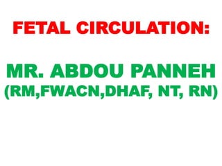 FETAL CIRCULATION:
MR. ABDOU PANNEH
(RM,FWACN,DHAF, NT, RN)
 