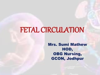FETAL CIRCULATION
Mrs. Sumi Mathew
HOD,
OBG Nursing,
GCON, Jodhpur
 
