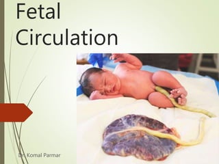 Fetal
Circulation
Dr. Komal Parmar
 