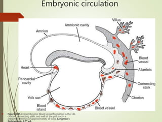 Fetal circulation | PPTX