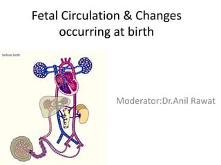 Fetal Circulation & Changes
occurring at birth
Moderator:Dr.Anil Rawat
 