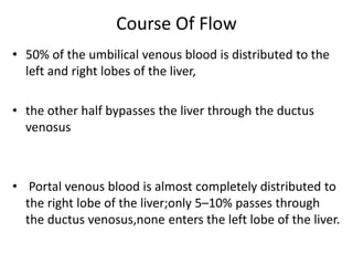 Course Of Flow
• 50% of the umbilical venous blood is distributed to the
left and right lobes of the liver,
• the other half bypasses the liver through the ductus
venosus
• Portal venous blood is almost completely distributed to
the right lobe of the liver;only 5–10% passes through
the ductus venosus,none enters the left lobe of the liver.
 