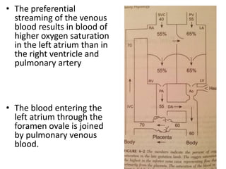 • The preferential
streaming of the venous
blood results in blood of
higher oxygen saturation
in the left atrium than in
the right ventricle and
pulmonary artery
• The blood entering the
left atrium through the
foramen ovale is joined
by pulmonary venous
blood.
 
