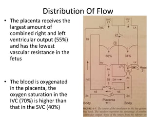 Distribution Of Flow
• The placenta receives the
largest amount of
combined right and left
ventricular output (55%)
and has the lowest
vascular resistance in the
fetus
• The blood is oxygenated
in the placenta, the
oxygen saturation in the
IVC (70%) is higher than
that in the SVC (40%)
 