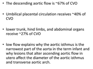 • The descending aortic flow is ~67% of CVO
• Umbilical placental circulation receives ~40% of
CVO
• lower trunk, hind limbs, and abdominal organs
receive ~27% of CVO
• low flow explains why the aortic isthmus is the
narrowest part of the aorta in the term infant and
why lesions that alter ascending aortic flow in
utero affect the diameter of the aortic isthmus
and transverse aortic arch.
 