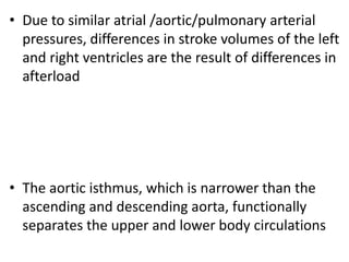 • Due to similar atrial /aortic/pulmonary arterial
pressures, differences in stroke volumes of the left
and right ventricles are the result of differences in
afterload
• The aortic isthmus, which is narrower than the
ascending and descending aorta, functionally
separates the upper and lower body circulations
 