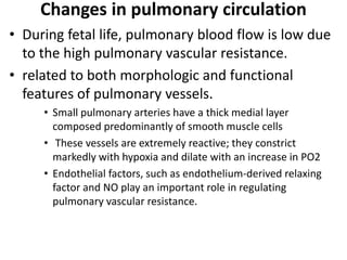 Changes in pulmonary circulation
• During fetal life, pulmonary blood flow is low due
to the high pulmonary vascular resistance.
• related to both morphologic and functional
features of pulmonary vessels.
• Small pulmonary arteries have a thick medial layer
composed predominantly of smooth muscle cells
• These vessels are extremely reactive; they constrict
markedly with hypoxia and dilate with an increase in PO2
• Endothelial factors, such as endothelium-derived relaxing
factor and NO play an important role in regulating
pulmonary vascular resistance.
 