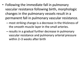 • Following the immediate fall in pulmonary
vascular resistance following birth, morphologic
changes in the pulmonary vessels result in a
permanent fall in pulmonary vascular resistance.
– most striking change is a decrease in the thickness of
the smooth muscle layer in the small arteries.
– results in a gradual further decrease in pulmonary
vascular resistance and pulmonary arterial pressure
within 2–3 weeks after birth
 