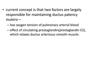 • current concept is that two factors are largely
responsible for maintaining ductus patency
inutero –
– low oxygen tension of pulmonary arterial blood
– effect of circulating prostaglandin(prostaglandin E2),
which relaxes ductus arteriosus smooth muscle.
 