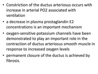 • Constriction of the ductus arteriosus occurs with
increase in arterial PO2 associated with
ventilation
• a decrease in plasma prostaglandin E2
concentrations is an important mechanism
• oxygen-sensitive potassium channels have been
demonstrated to play an important role in the
contraction of ductus arteriosus smooth muscle in
response to increased oxygen levels
• permanent closure of the ductus is achieved by
fibrosis.
 