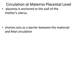 Circulation at Materno Placental Level
• placenta is anchored to the wall of the
mother's uterus.
• chorion acts as a barrier between the maternal
and fetal circulation
 