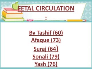 FETAL CIRCULATION
-
By Tashif (60)
Afaque (73)
Suraj (64)
Sonali (79)
Yash (76)
 