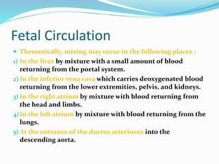 Fetal circulation nursing student_dey | PPTX