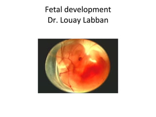 Fetal development Dr. Louay Labban 