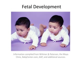 Fetal Development Information compiled from Wittmer & Petersen, the Mayo Clinic, BabyCenter.com, AAP, and additional sources. 