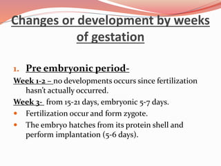 Changes or development by weeks
of gestation
1. Pre embryonic period-
Week 1-2 – no developments occurs since fertilization
hasn’t actually occurred.
Week 3- from 15-21 days, embryonic 5-7 days.
 Fertilization occur and form zygote.
 The embryo hatches from its protein shell and
perform implantation (5-6 days).
 