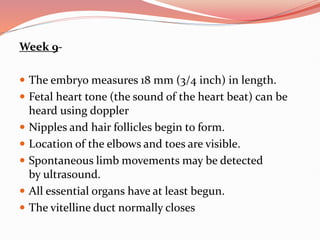 Week 9-
 The embryo measures 18 mm (3/4 inch) in length.
 Fetal heart tone (the sound of the heart beat) can be
heard using doppler
 Nipples and hair follicles begin to form.
 Location of the elbows and toes are visible.
 Spontaneous limb movements may be detected
by ultrasound.
 All essential organs have at least begun.
 The vitelline duct normally closes
 