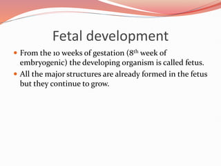 Fetal development
 From the 10 weeks of gestation (8th week of
embryogenic) the developing organism is called fetus.
 All the major structures are already formed in the fetus
but they continue to grow.
 