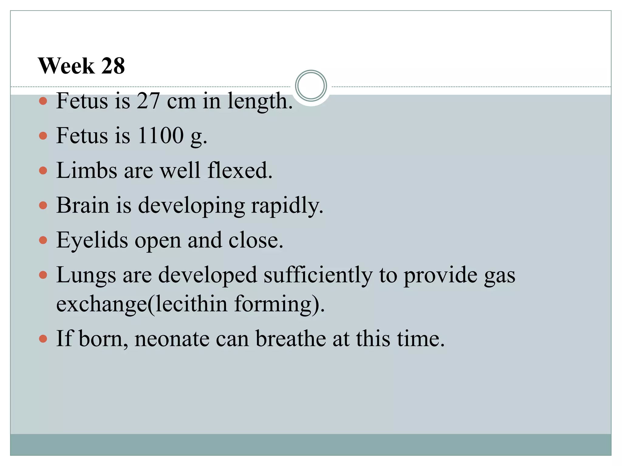 Week 28
 Fetus is 27 cm in length.
 Fetus is 1100 g.
 Limbs are well flexed.
 Brain is developing rapidly.
 Eyelids open and close.
 Lungs are developed sufficiently to provide gas
exchange(lecithin forming).
 If born, neonate can breathe at this time.
 