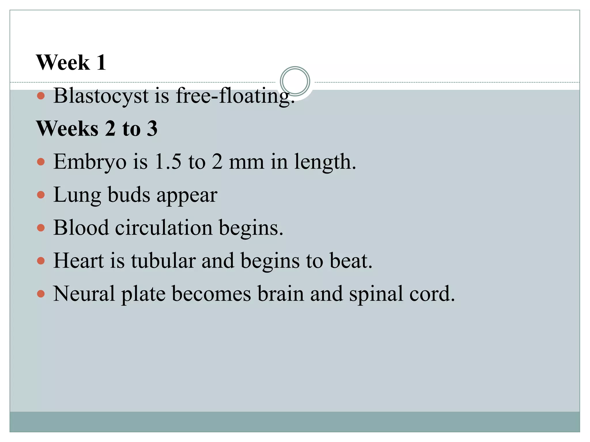 Week 1
 Blastocyst is free-floating.
Weeks 2 to 3
 Embryo is 1.5 to 2 mm in length.
 Lung buds appear
 Blood circulation begins.
 Heart is tubular and begins to beat.
 Neural plate becomes brain and spinal cord.
 