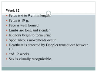 Week 12
 Fetus is 6 to 9 cm in length.
 Fetus is 19 g.
 Face is well formed
 Limbs are long and slender.
 Kidneys begin to form urine.
 Spontaneous movements occur.
 Heartbeat is detected by Doppler transducer between
10
 and 12 weeks.
 Sex is visually recognizable.
 