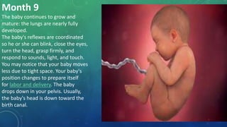 Month 9
The baby continues to grow and
mature: the lungs are nearly fully
developed.
The baby's reflexes are coordinated
so he or she can blink, close the eyes,
turn the head, grasp firmly, and
respond to sounds, light, and touch.
You may notice that your baby moves
less due to tight space. Your baby's
position changes to prepare itself
for labor and delivery. The baby
drops down in your pelvis. Usually,
the baby's head is down toward the
birth canal.
 