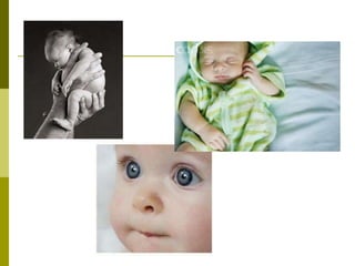 Fetal development | PPT