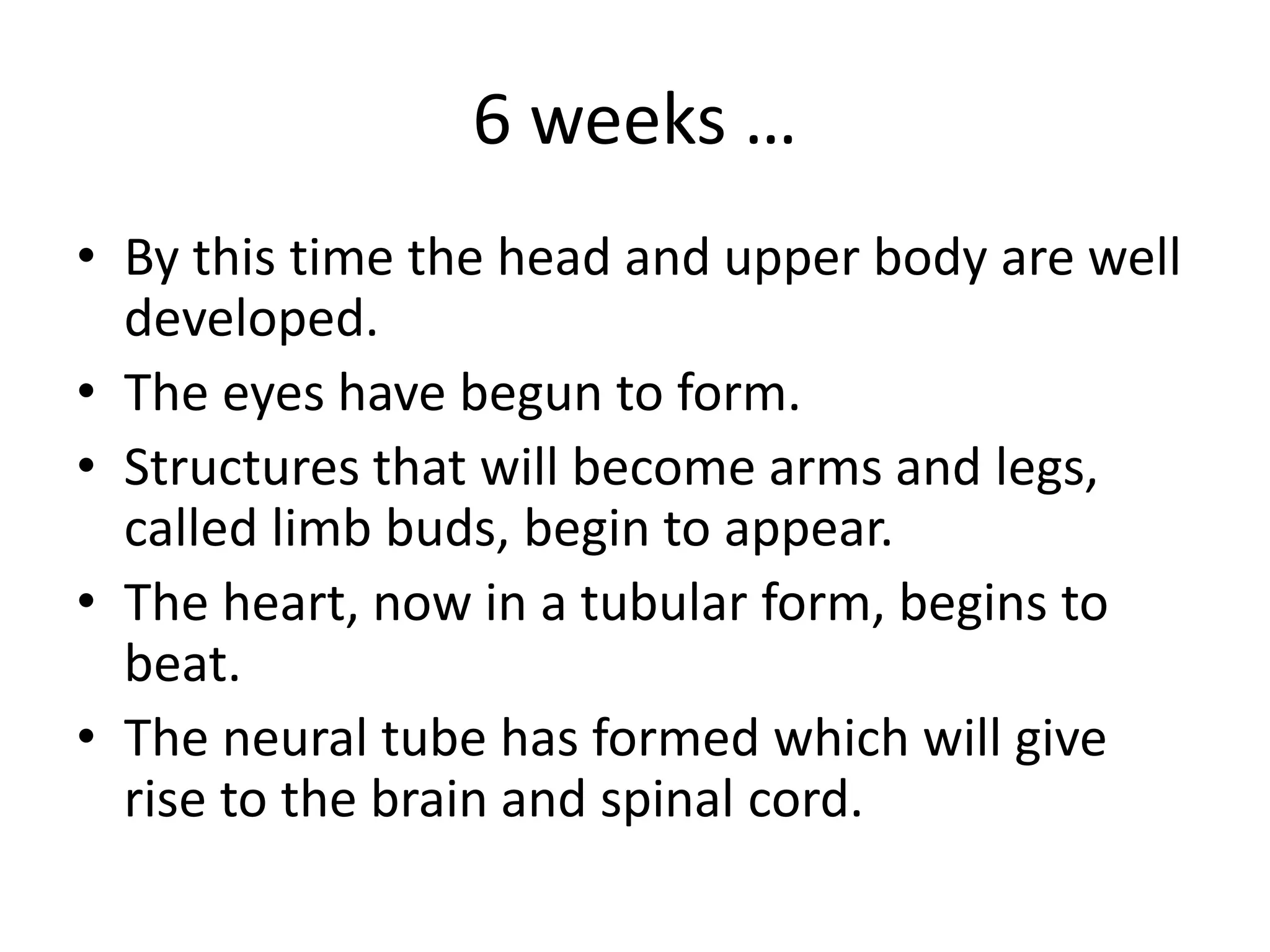 6 weeks …
• By this time the head and upper body are well
developed.
• The eyes have begun to form.
• Structures that will become arms and legs,
called limb buds, begin to appear.
• The heart, now in a tubular form, begins to
beat.
• The neural tube has formed which will give
rise to the brain and spinal cord.
 