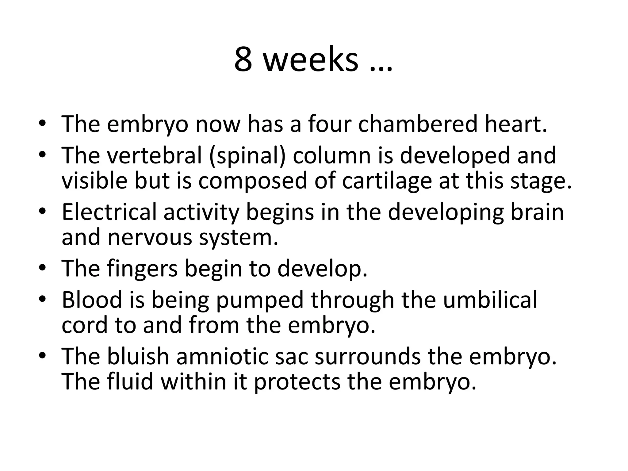8 weeks …
• The embryo now has a four chambered heart.
• The vertebral (spinal) column is developed and
visible but is composed of cartilage at this stage.
• Electrical activity begins in the developing brain
and nervous system.
• The fingers begin to develop.
• Blood is being pumped through the umbilical
cord to and from the embryo.
• The bluish amniotic sac surrounds the embryo.
The fluid within it protects the embryo.
 