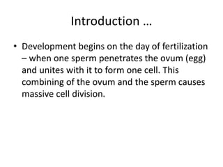 Introduction …
• Development begins on the day of fertilization
– when one sperm penetrates the ovum (egg)
and unites with it to form one cell. This
combining of the ovum and the sperm causes
massive cell division.
 
