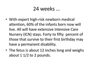 24 weeks …
• With expert high-risk newborn medical
attention, 60% of the infants born now will
live. All will have extensive Intensive Care
Nursery (ICN) stays. Forty to fifty percent of
those that survive to their first birthday may
have a permanent disability.
• The fetus is about 12 inches long and weighs
about 1 1/2 to 2 pounds.
 