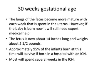30 weeks gestational age
• The lungs of the fetus become more mature with
each week that is spent in the uterus. However, if
the baby is born now it will still need expert
medical help.
• The fetus is now about 14 inches long and weighs
about 2 1/2 pounds.
• Approximately 95% of the infants born at this
time will survive if born in a hospital with an ICN.
• Most will spend several weeks in the ICN.
 