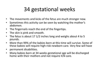 34 gestational weeks
• The movements and kicks of the fetus are much stronger now.
• Sometimes this activity can be seen by watching the mother’s
abdomen.
• The fingernails reach the end of the fingertips.
• The skin is pink and smooth.
• The fetus is about 17 1/2 inches long and weighs about 4 to 5
pounds.
• More than 99% of the babies born at this time will survive. Some of
these babies will require high-risk newborn care. Very few will have
• permanent disabilities.
• Many babies born at 34 weeks gestational age will be discharged
home with their mothers and not require ICN care.
 