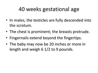 40 weeks gestational age
• In males, the testicles are fully descended into
the scrotum.
• The chest is prominent; the breasts protrude.
• Fingernails extend beyond the fingertips.
• The baby may now be 20 inches or more in
length and weigh 6 1/2 to 9 pounds.
 