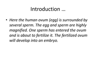 Introduction …
• Here the human ovum (egg) is surrounded by
several sperm. The egg and sperm are highly
magnified. One sperm has entered the ovum
and is about to fertilize it. The fertilized ovum
will develop into an embryo.
 