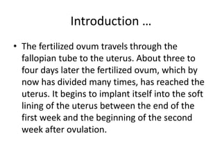 Introduction …
• The fertilized ovum travels through the
fallopian tube to the uterus. About three to
four days later the fertilized ovum, which by
now has divided many times, has reached the
uterus. It begins to implant itself into the soft
lining of the uterus between the end of the
first week and the beginning of the second
week after ovulation.
 