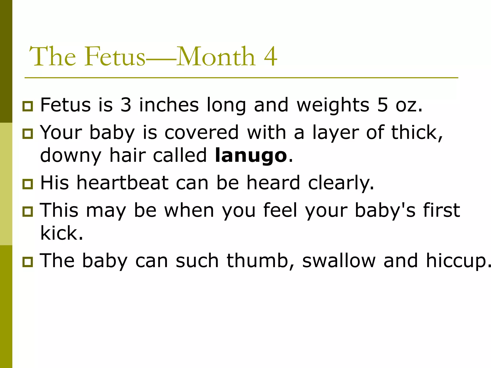 The Fetus—Month 4
 Fetus is 3 inches long and weights 5 oz.
 Your baby is covered with a layer of thick,
downy hair called lanugo.
 His heartbeat can be heard clearly.
 This may be when you feel your baby's first
kick.
 The baby can such thumb, swallow and hiccup.
 