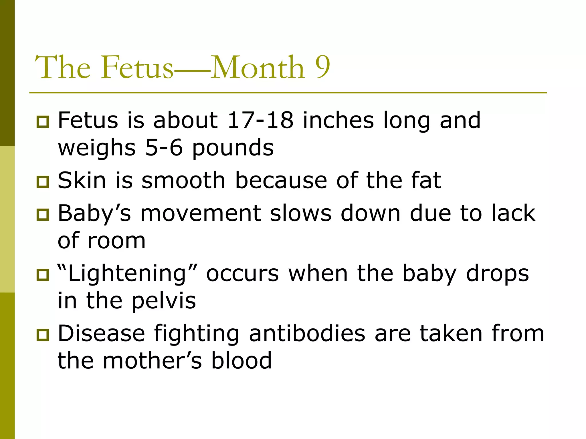 The Fetus—Month 9
 Fetus is about 17-18 inches long and
weighs 5-6 pounds
 Skin is smooth because of the fat
 Baby’s movement slows down due to lack
of room
 “Lightening” occurs when the baby drops
in the pelvis
 Disease fighting antibodies are taken from
the mother’s blood
 