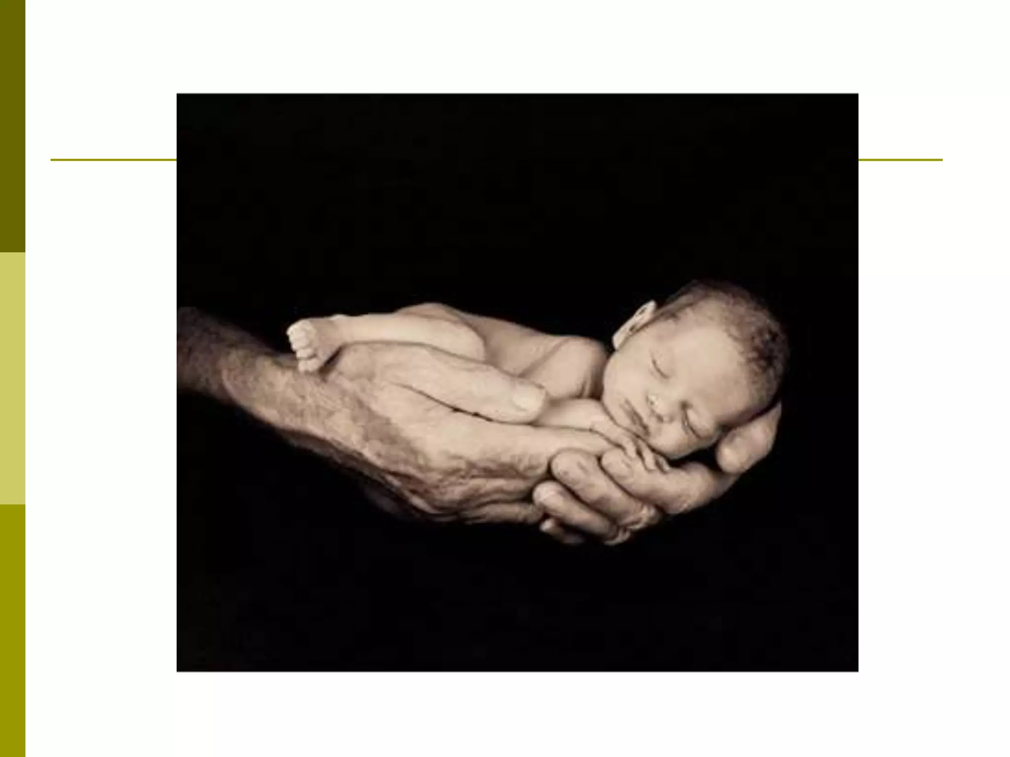 Fetal_Development.ppt