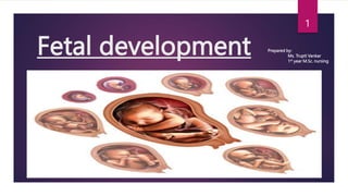Fetal development Prepared by:
Ms. Trupti Vankar
1st year M.Sc. nursing
1
 
