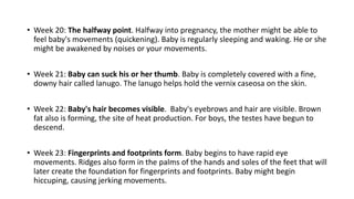 Ppt On FETAL DEVELOPMENT Class 12 In Depth pptx