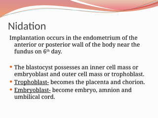 Nidation
Implantation occurs in the endometrium of the
anterior or posterior wall of the body near the
fundus on 6th
day.
 The blastocyst possesses an inner cell mass or
embryoblast and outer cell mass or trophoblast.
 Trophoblast- becomes the placenta and chorion.
 Embryoblast- become embryo, amnion and
umbilical cord.
 