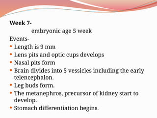 Week 7-
embryonic age 5 week
Events-
 Length is 9 mm
 Lens pits and optic cups develops
 Nasal pits form
 Brain divides into 5 vessicles including the early
telencephalon.
 Leg buds form.
 The metanephros, precursor of kidney start to
develop.
 Stomach differentiation begins.
 