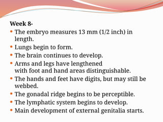Week 8-
 The embryo measures 13 mm (1/2 inch) in
length.
 Lungs begin to form.
 The brain continues to develop.
 Arms and legs have lengthened
with foot and hand areas distinguishable.
 The hands and feet have digits, but may still be
webbed.
 The gonadal ridge begins to be perceptible.
 The lymphatic system begins to develop.
 Main development of external genitalia starts.
 