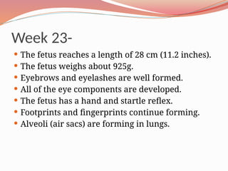 Week 23-
 The fetus reaches a length of 28 cm (11.2 inches).
 The fetus weighs about 925g.
 Eyebrows and eyelashes are well formed.
 All of the eye components are developed.
 The fetus has a hand and startle reflex.
 Footprints and fingerprints continue forming.
 Alveoli (air sacs) are forming in lungs.
 