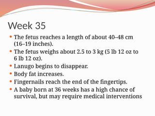 Week 35
 The fetus reaches a length of about 40–48 cm
(16–19 inches).
 The fetus weighs about 2.5 to 3 kg (5 lb 12 oz to
6 lb 12 oz).
 Lanugo begins to disappear.
 Body fat increases.
 Fingernails reach the end of the fingertips.
 A baby born at 36 weeks has a high chance of
survival, but may require medical interventions
 