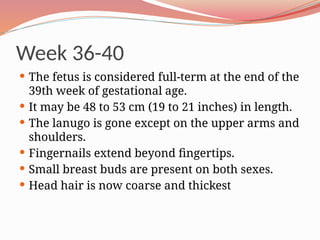 Week 36-40
 The fetus is considered full-term at the end of the
39th week of gestational age.
 It may be 48 to 53 cm (19 to 21 inches) in length.
 The lanugo is gone except on the upper arms and
shoulders.
 Fingernails extend beyond fingertips.
 Small breast buds are present on both sexes.
 Head hair is now coarse and thickest
 