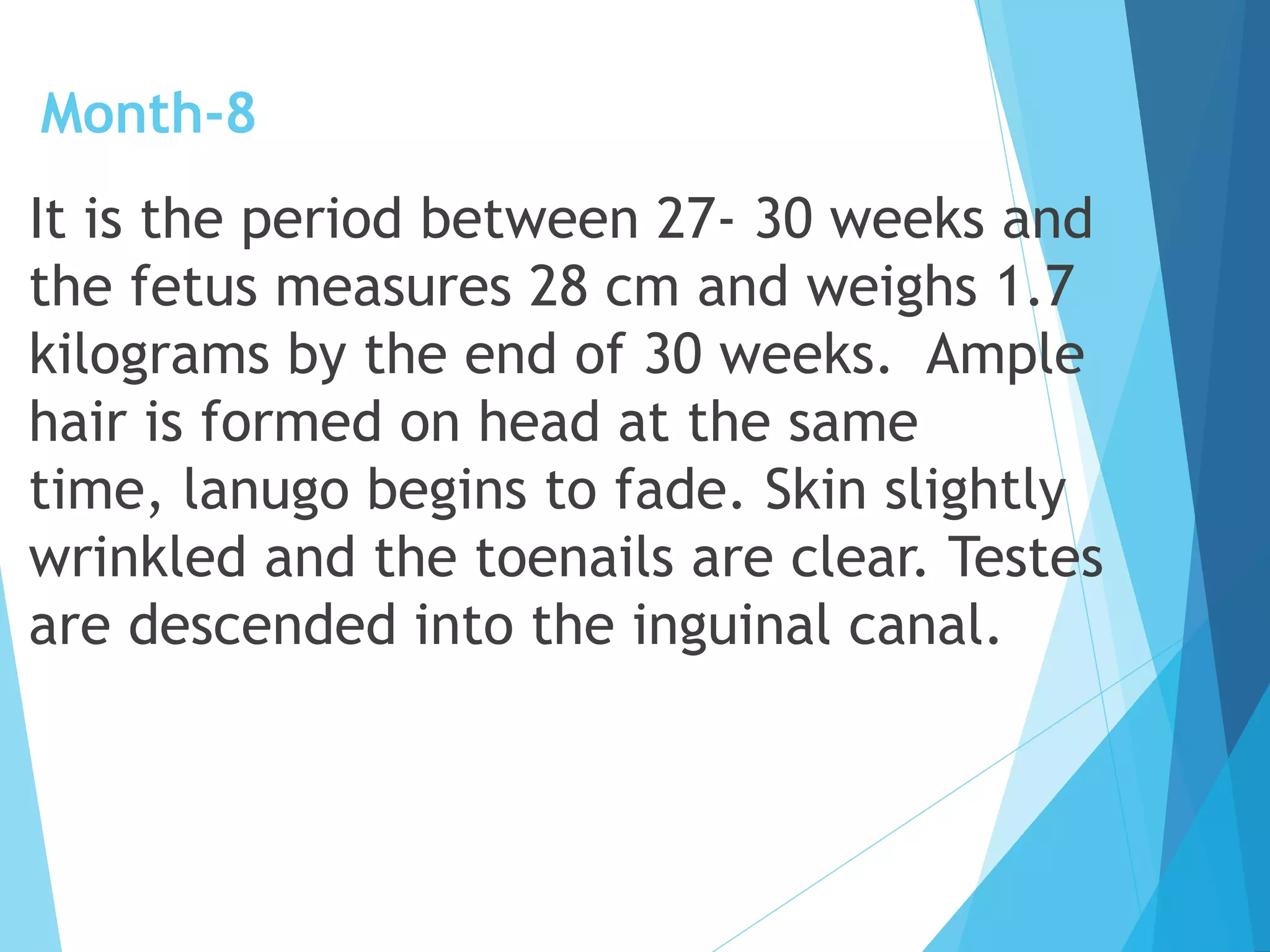 Fetal development converted | PDF