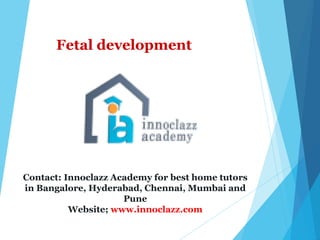 Fetal development
Contact: Innoclazz Academy for best home tutors
in Bangalore, Hyderabad, Chennai, Mumbai and
Pune
Website; www.innoclazz.com
 