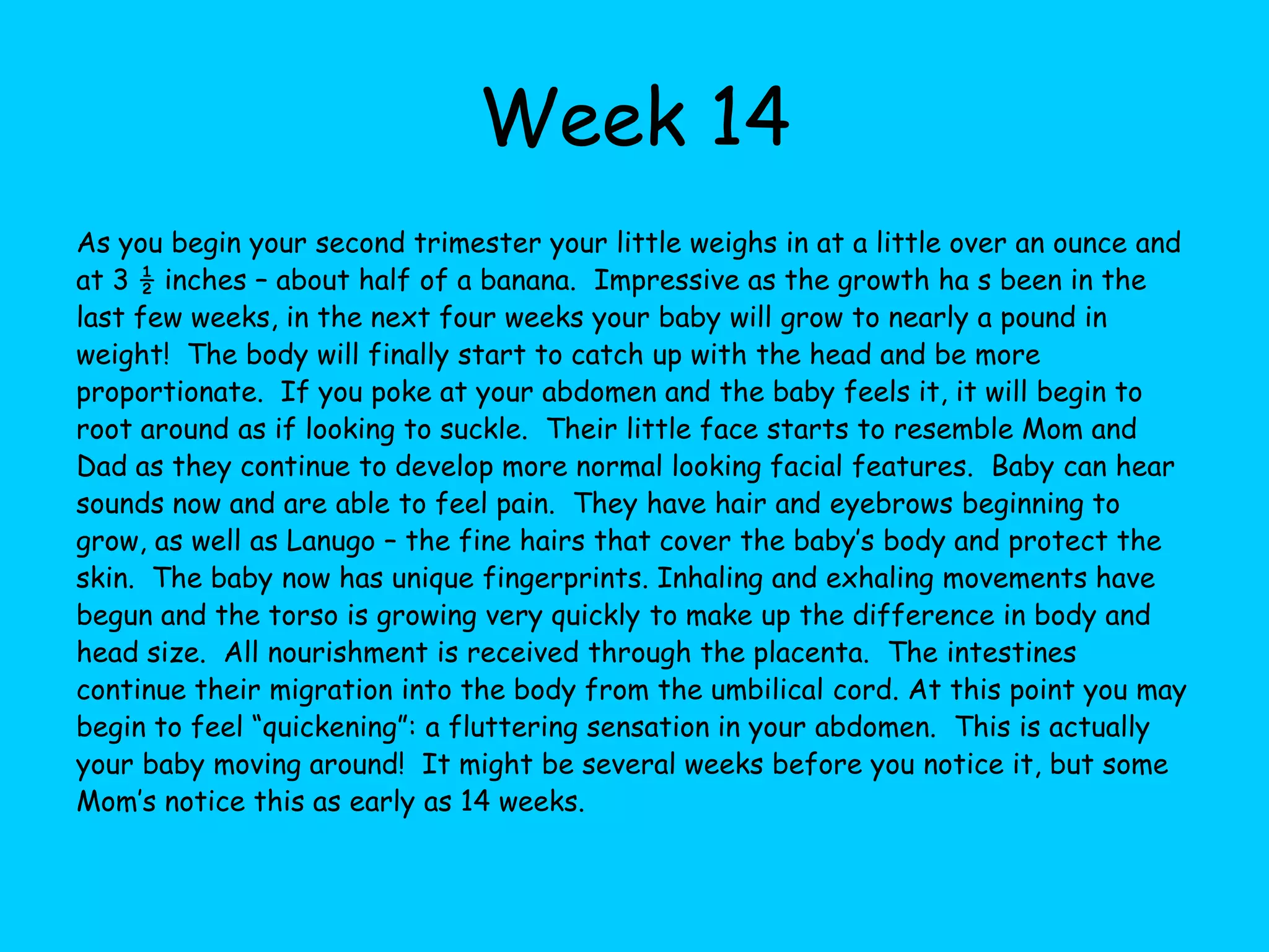 Week 8Your baby is no longer called an embryo and is now called a fetus. The fetus is now the size of a grape and has doubled in it`s size in the last two weeks. The body parts that have formed up until this point will now begin to become more particular.  This is a very busy developmental period that will last for about 20 weeks.  Right now the fetus is developing teeth and it`s palate. The ears are continuing to develop but right now they are located low on the head and will move up as the head grows.  The skin is very thin and the veins are clearly visible. The fingers and toes are forming now and the arms can flex at the wrists and elbows.  Also, the bones for the  arms and legs are beginning to harden and joints are forming.  The head has now grown quite fast and is still very large compared to the rest of the body. The hindbrain, which is responsible for the breathing. Heart regulation and muscle movement is now forming. Now the critical period of the heart development is ending and the heart will continue to develop but at a much slower pace. Blood has begun to flow through a basic circulatory system and the tubes from the throat to the lungs are now formed. Finally, the intestines are beginning to develop within the umbilical cord.  When the body is large enough, they will move into the proper area.  Your fetus still has a tail, but it is smaller than in the past, and its entire body is straightening out.  